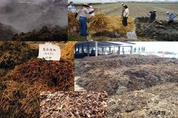 三级4级特黄60分钟 为什么要用有机肥替代化肥