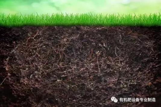 三级4级特黄60分钟 有机肥发酵_禽粪发酵不彻底的危害_家畜农家肥