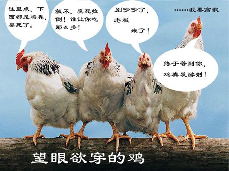 四川鸡粪生产有机肥的技术_鸡粪怎么做成有机肥
