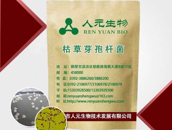 三级4级特黄60分钟 人元生物枯草芽孢杆菌的主要功能和作用