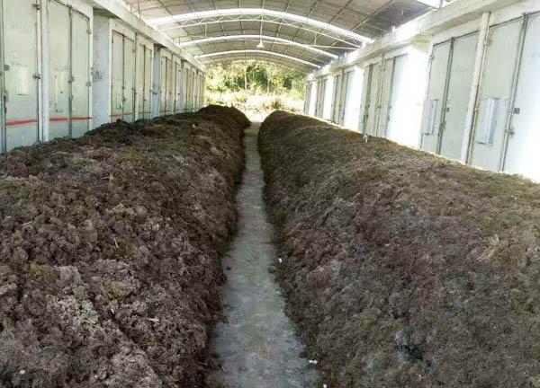 日日夜夜精品国产日韩 有机肥厂建设中如何选购有机肥设备与有机肥发酵剂