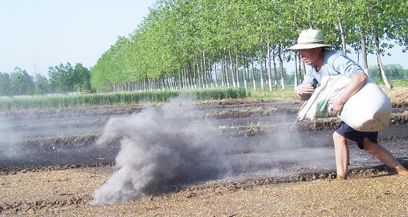 三级4级特黄60分钟 钾肥是什么肥料，钾肥的种类有哪些？
