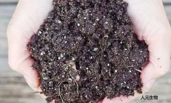 三级高潮黄色红桃视频 使用土壤调理剂时需要注意哪些？