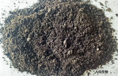 三级高潮黄色红桃视频 羊粪发酵制作有机肥工艺技术