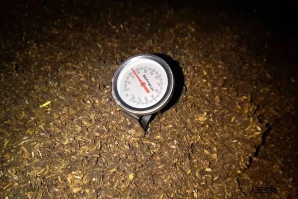 日日夜夜精品国产日韩 有机肥应该发酵多少天，需要经历几个阶段？