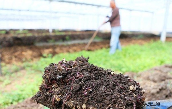 三级4级特黄60分钟 各种不同原料生产的有机肥哪个效果好？