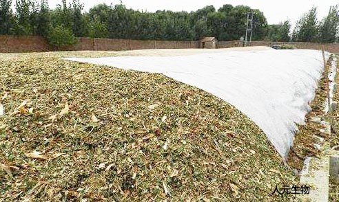 三级高潮黄色红桃视频 秸秆腐熟剂的作用及使用技术