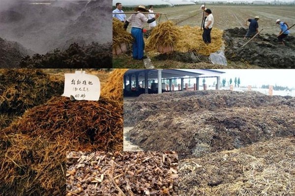 三级高潮黄色红桃视频 秸秆有机肥需要怎样发酵好？