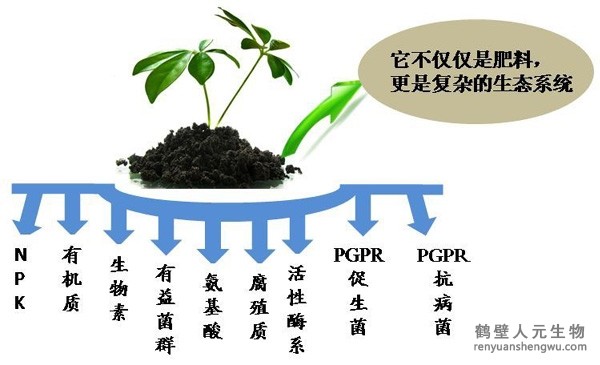 日日夜夜精品国产日韩 都说微生物菌剂产品贵，你却不知道土壤微生物到底有多重要！