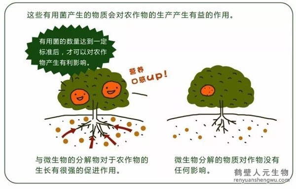 日日夜夜精品国产日韩 都说微生物菌剂产品贵，你却不知道土壤微生物到底有多重要！