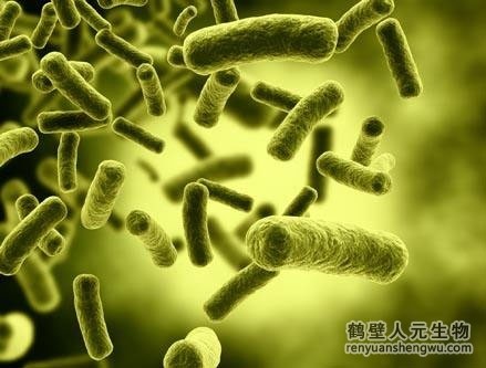 三级4级特黄60分钟 未腐熟的有机肥的副作用是什么？