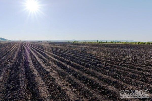 临沂：2020年单位耕地面积化肥使用量比2015年下降16.8%