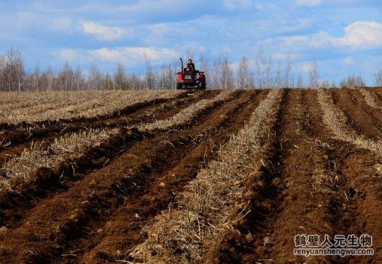 三级高潮黄色红桃视频 磷钾肥的种类及自制方法