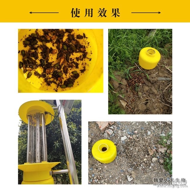 景观式太阳能杀虫灯使用效果