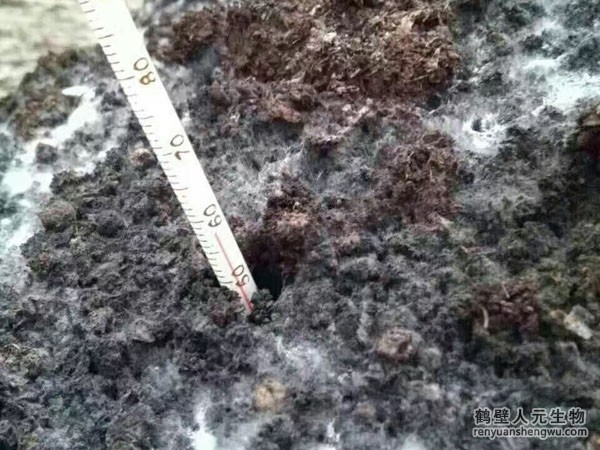 三级4级特黄60分钟 有机肥市场竟要发生这些变革