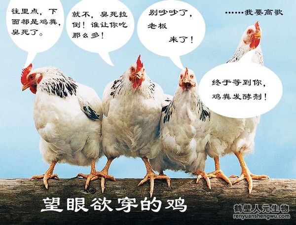 三级4级特黄60分钟 开有机肥厂利润有多少