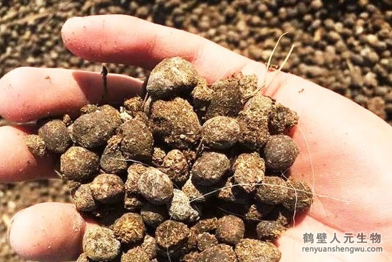 羊粪有机肥设备发酵技术