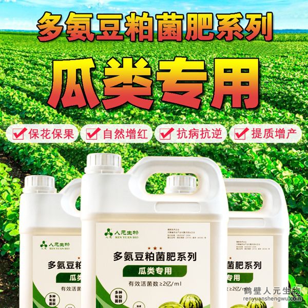 多氨豆粕菌肥系列瓜类专用肥由河南省微生物菌剂工程技术研究中心研制，鹤壁市人元生物技术发展有限公司生产，本品是以固态发酵豆粕为主要原料，豆粕经过有益微生物菌种发酵分解，充分释放游离氨基酸，同时辅以枯草、地衣、胶冻样芽孢杆菌等有益菌群。