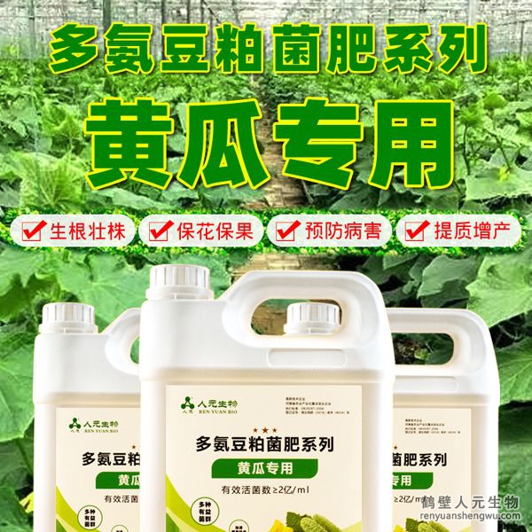 多氮豆粕菌肥系列黄瓜专用肥由河南省微生物菌剂工程技术研究中心研制，鹤壁市人元生物技术发展有限公司生产，本品是以固态发酵豆粕为主要原料，豆粕经过有益微生物菌种发酵分解，充分释放游离氨基酸，同时辅以枯草、地衣、胶冻样芽孢杆菌等有益菌群。