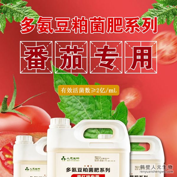 多氨豆粕菌肥系列西红柿专用肥由河南省微生物菌剂工程技术研究中心研制，鹤壁市人元生物技术发展有限公司生产，本品是以固态发酵豆粕为主要原料，豆粕经过有益微生物菌种发酵分解，充分释放游离氨基酸，同时辅以枯草、地衣、胶冻样芽孢杆菌等有益菌群。