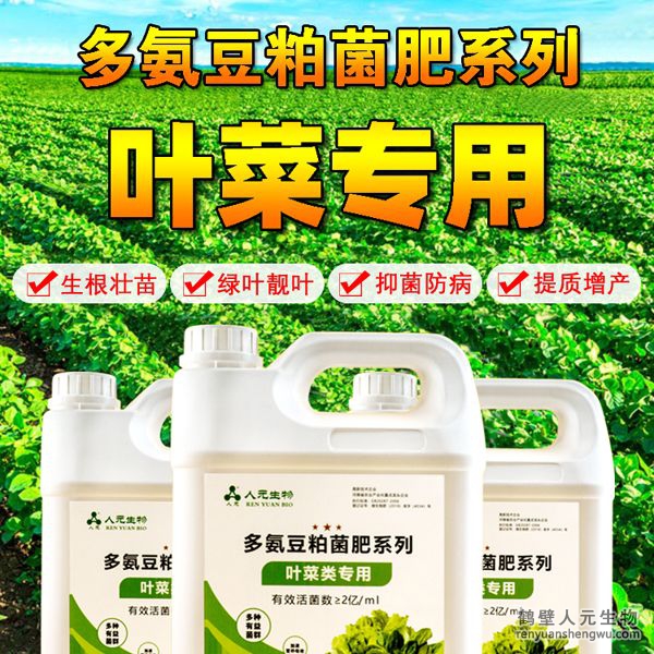 多氨豆粕菌肥系列叶菜类专用肥由河南省微生物菌剂工程技术研究中心研制，鹤壁市人元生物技术发展有限公司生产，本品是以固态发酵豆粕为主要原料，豆粕经过有益微生物菌种发酵分解，充分释放游离氢基酸，同时辅以枯草、地衣、胶冻样芽孢杆菌等有益菌群。